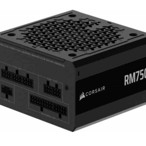 ALIMENTATORE RM750E 750 WATT (CP-9020295-EU) CYBENETICS GOLD MODULARE