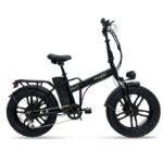 BICI ELETTRICA CON PEDALATA ASSISTITA E-BIKE ROBUSTO 20" - 250W - NERO