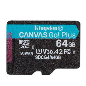 TRANS FLASH 64 GB CANVAS GO PLUS (SDCG4/64GBSP) CLASS 10