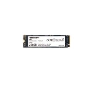 HARD DISK SSD 256GB M.2 (P300P256GM28) NVME
